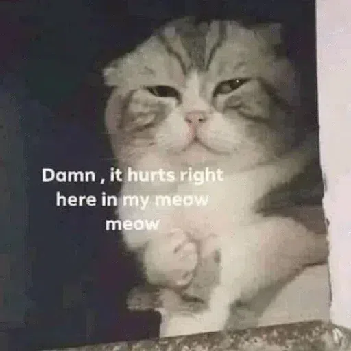 cute - Sticker 21