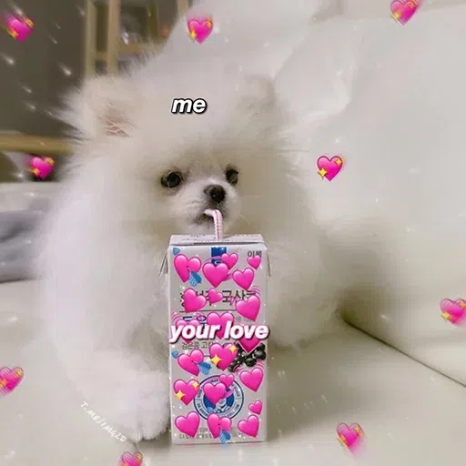 cute - Sticker 13