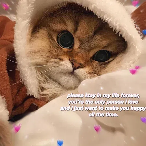 cute - Sticker 10