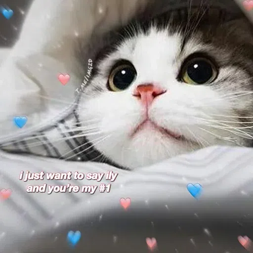 cute - Sticker 12