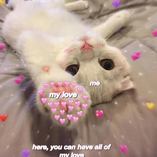 cute - Sticker 9