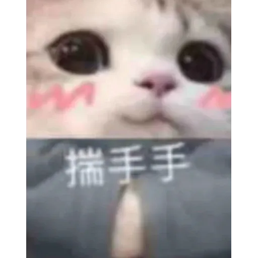 ok - Sticker 22