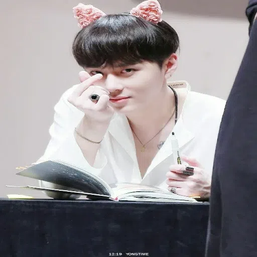 HiBeastLight - Sticker 13