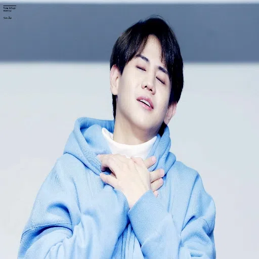 HiBeastLight - Sticker 11