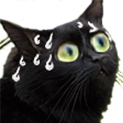 RandomPack2 - Sticker 20