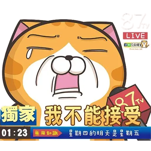 白爛貓6 - Sticker 14