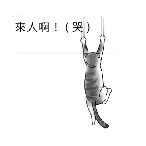 群聚在對話框上的貓 - Sticker 12