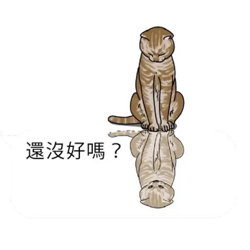 群聚在對話框上的貓 - Sticker 30