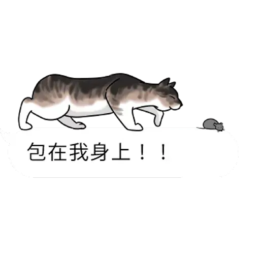 群聚在對話框上的貓 - Sticker 22