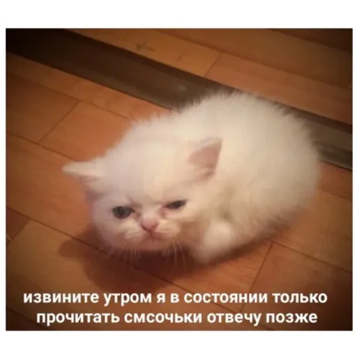 Карты ,деньги ,пакет стикеров - Sticker 23