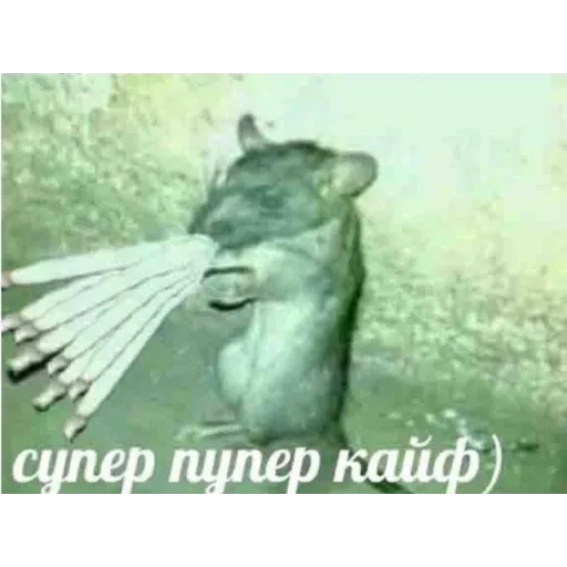 Карты ,деньги ,пакет стикеров - Sticker 18