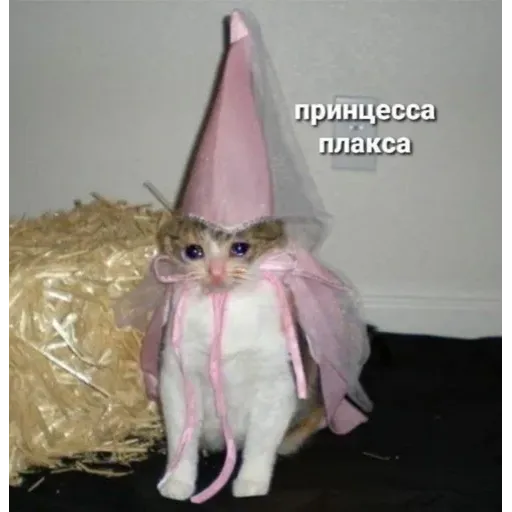 Карты ,деньги ,пакет стикеров - Sticker 21