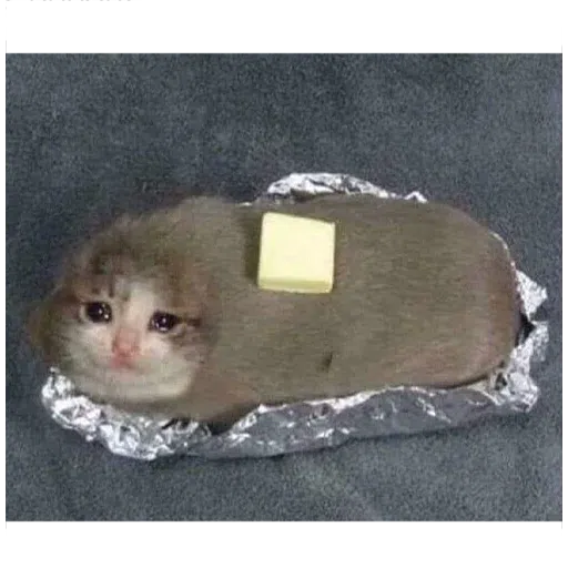 memes - Sticker 14