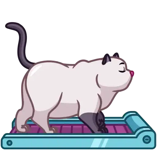 Mr Cat - Sticker 19