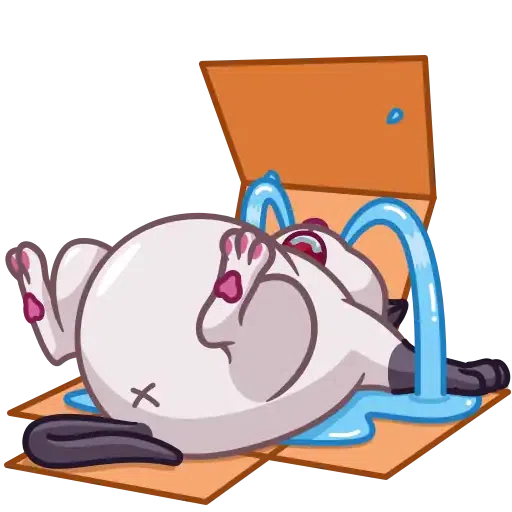 Mr Cat - Sticker 16