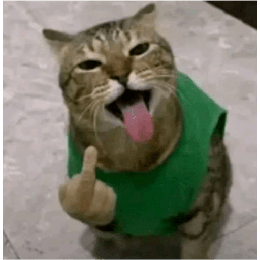 TikTok Stickers 1 - Sticker 24