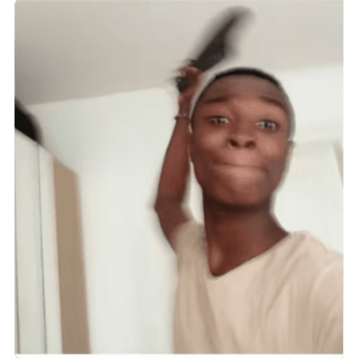 TikTok Stickers 1 - Sticker 19