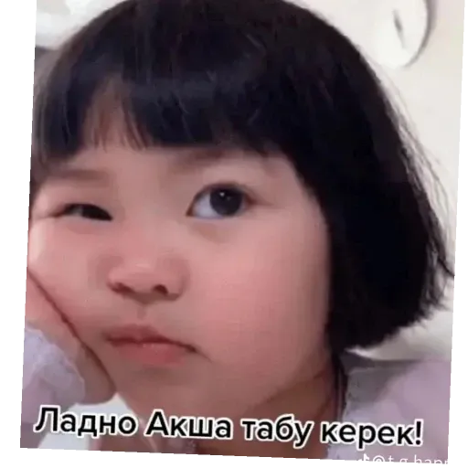 ппп - Sticker 19