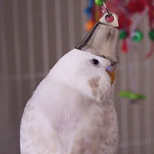 Bird 4 - Sticker 19