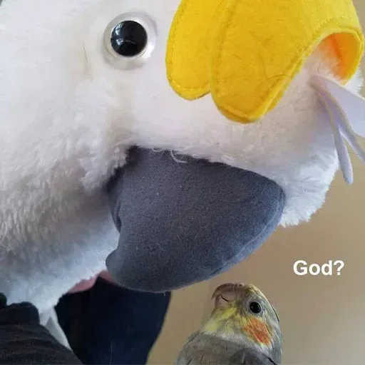 Bird 4 - Sticker 10