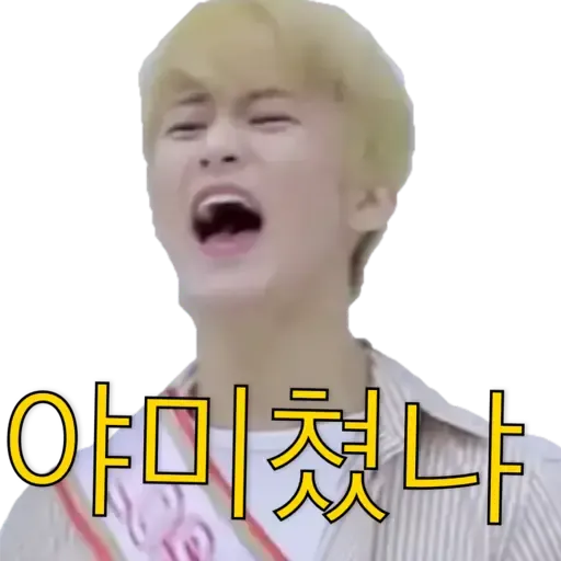 NCT memes -S1 - Sticker 22