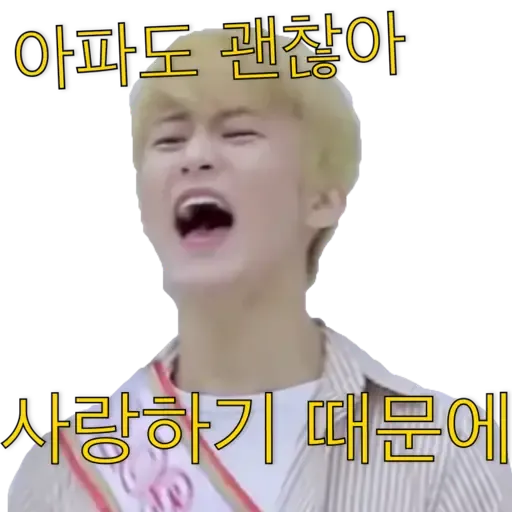 NCT memes -S1 - Sticker 30