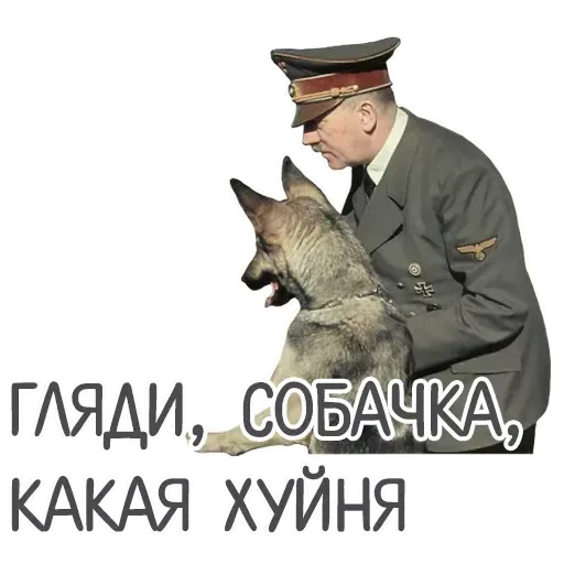 RandomDich - Sticker 13