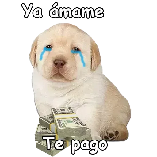 Sad 1 - Sticker 9
