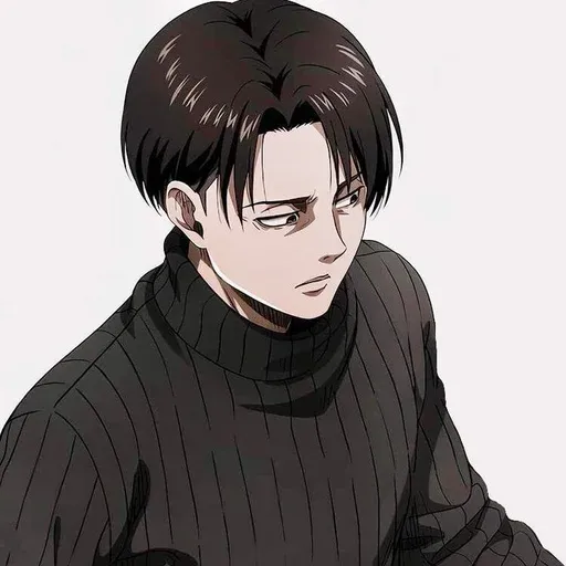 Attack on titan - Sticker 18