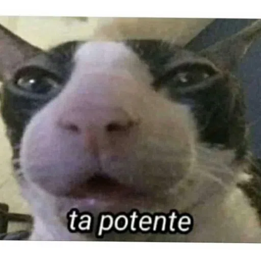 memes chidos :v - Sticker 30
