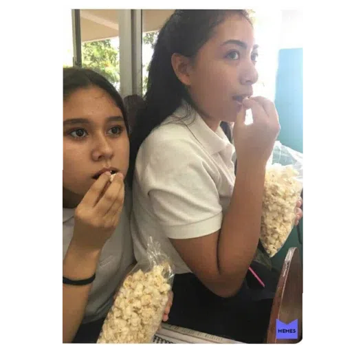 memes chidos :v - Sticker 28