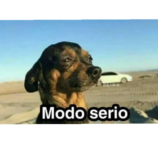 memes chidos :v - Sticker 25