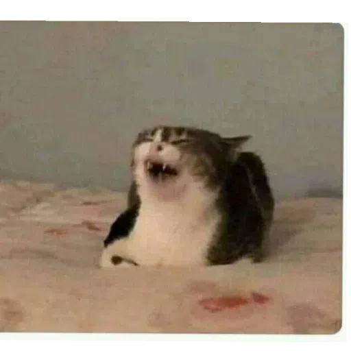 memes chidos :v - Sticker 10