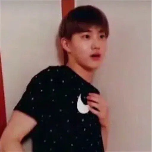 EXO MEME 2 - Sticker 27
