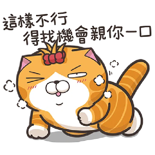 Lan Lan Cat 17 - Sticker 23