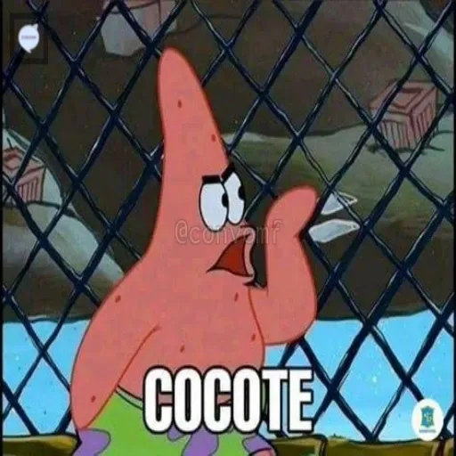 petrik meme - Sticker 25