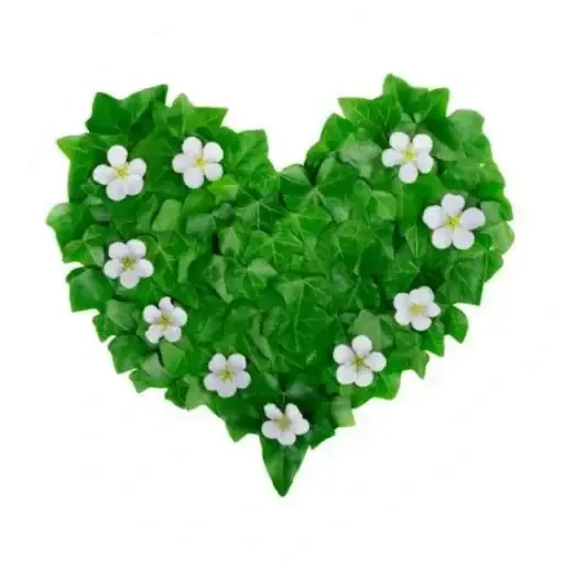 green hearts1 - Sticker 27