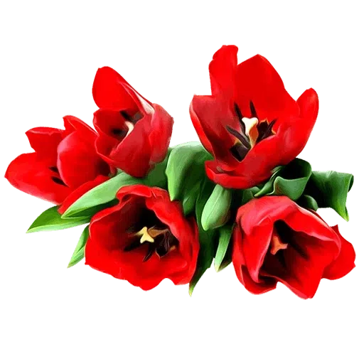 Red Flowers @ykinanah - Sticker 11
