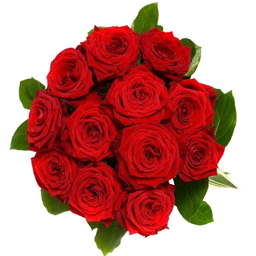 Red Flowers @ykinanah - Sticker 12