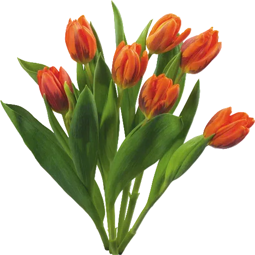 Red Flowers @ykinanah - Sticker 9