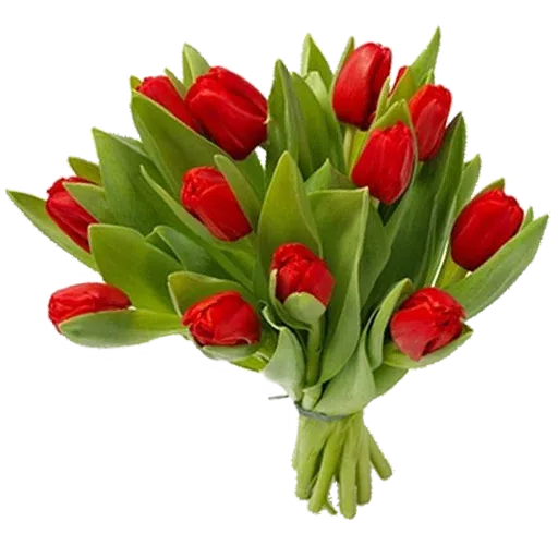 Red Flowers @ykinanah - Sticker 10
