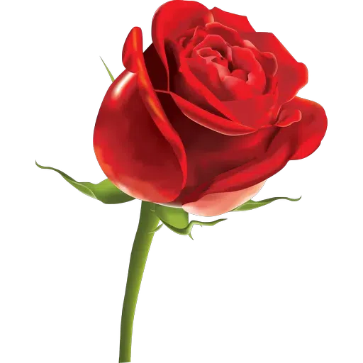 Red Flowers @ykinanah - Sticker 25
