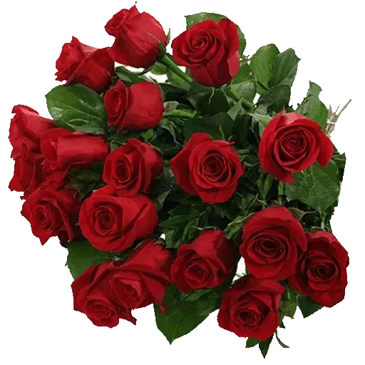 Red Flowers @ykinanah - Sticker 13