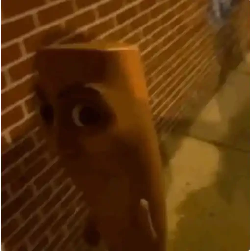 TikTok Animated Memes 4 - Sticker 29
