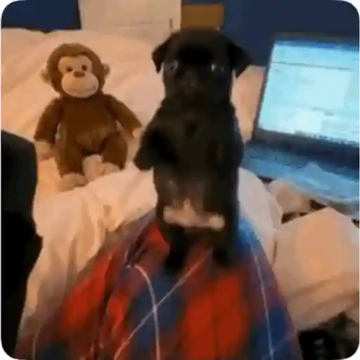 TikTok Animated Memes 4 - Sticker 19