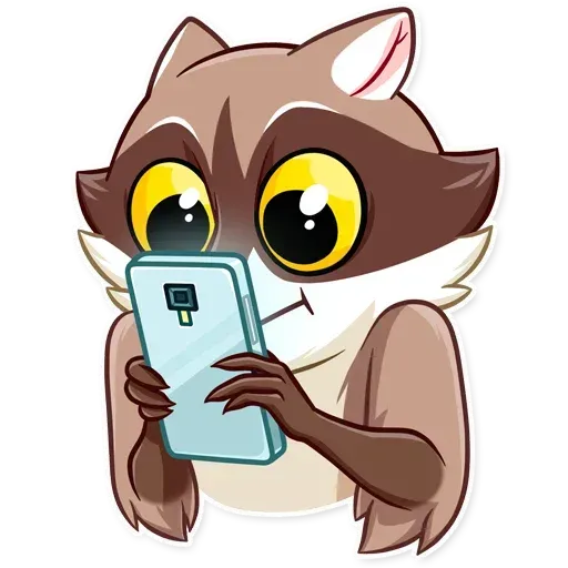 Bandit Raccoon - Sticker 22