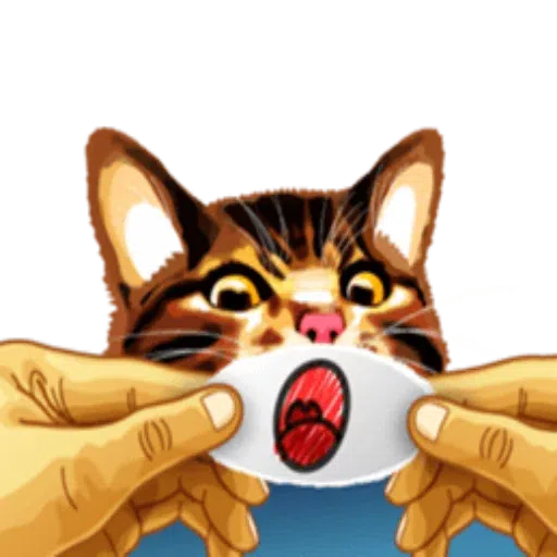 Meme Kat - Sticker 13