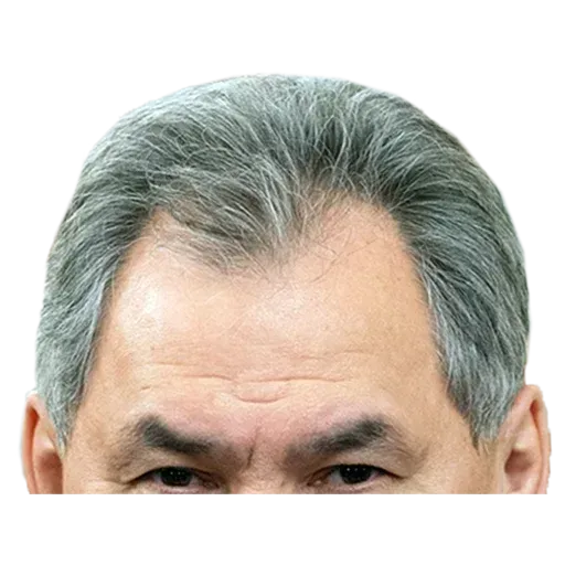 Патриот2 - Sticker 11