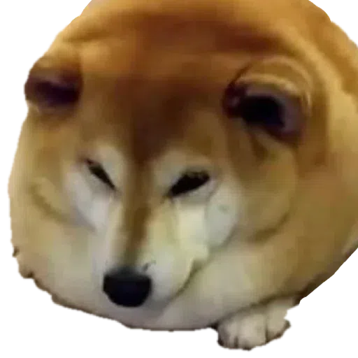 doge 2 - Sticker 29