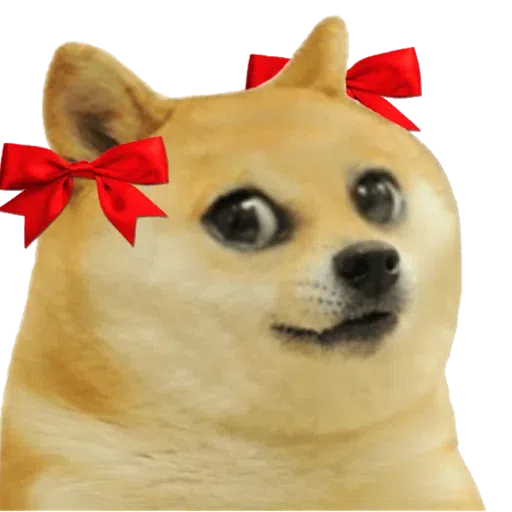 doge 2 - Sticker 9